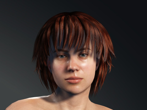 Servant 3D Model