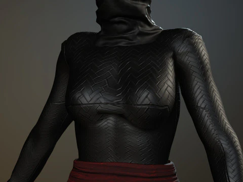 Female Ninja Warrior 3D Model