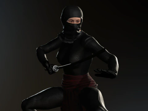 Female Ninja Warrior 3D Model