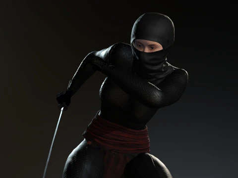 Female Ninja Warrior 3D Model
