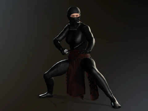 Female Ninja Warrior 3D Model