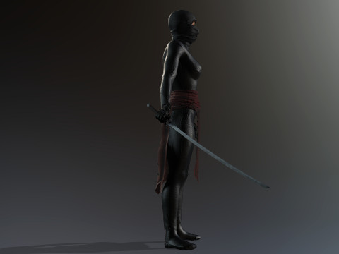 Female Ninja Warrior Model 3D