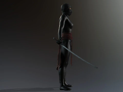 Female Ninja Warrior 3D Model