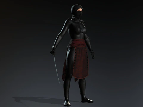 Female Ninja Warrior 3D Model