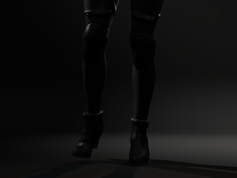 Black Cat 3D Model