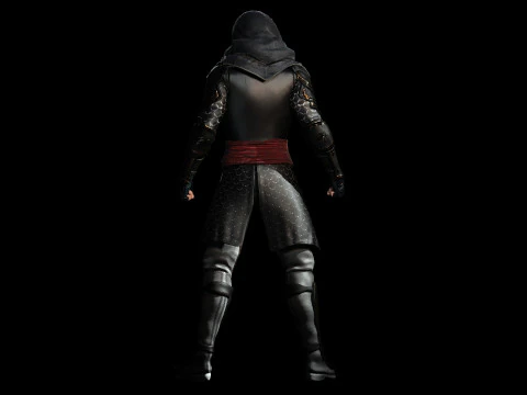 Ma&icirc;tre assassin Modèle 3D