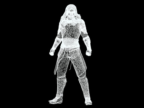 Master Assassin 3D 모델