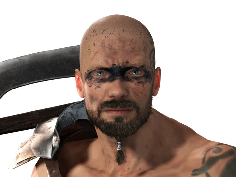 Guerriero vichingo Modello 3D