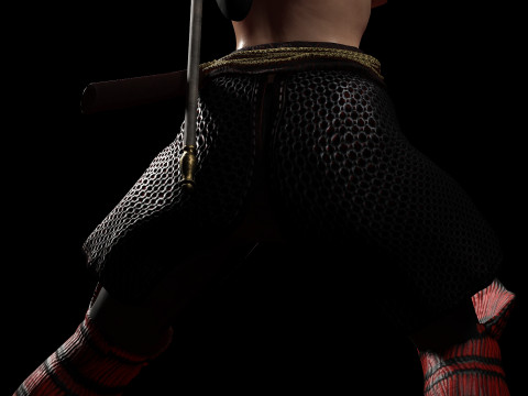 緋色の侍 3Dモデル