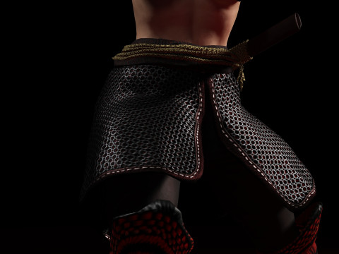 緋色の侍 3Dモデル