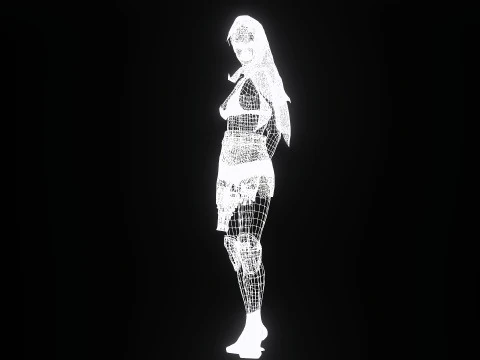 Sexy Cyber Assassin 3D Model
