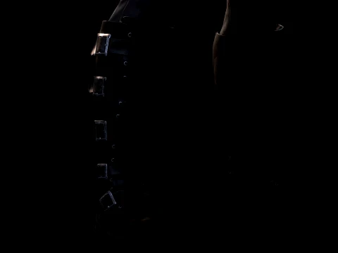 Lobo 3D Model