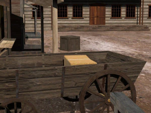 Western Pack 3D Model