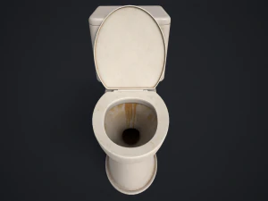 Toilet bowl 3D Model