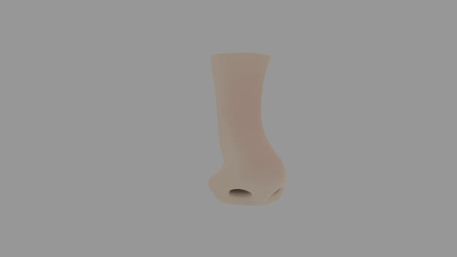 Human nose 3D Модель .c4d .max .obj .3ds .fbx .stl .blend 