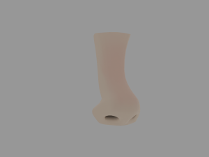 Human nose 3Dモデル