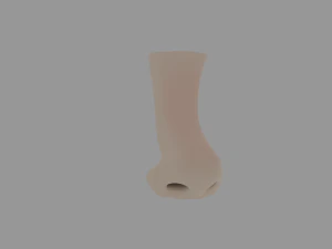 Human nose 3D Model