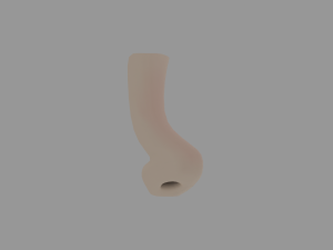 Human nose 3D Модель