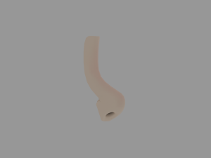 Human nose 3D Модель