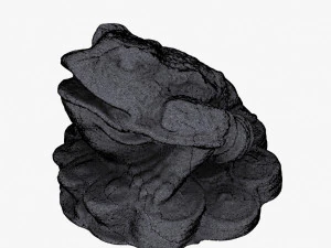 Frog China 3D Model