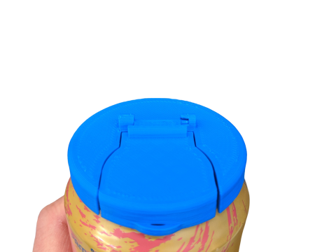 Can cover 3D Print Model