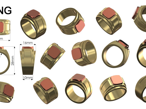 Ring 3D 프린트 모델