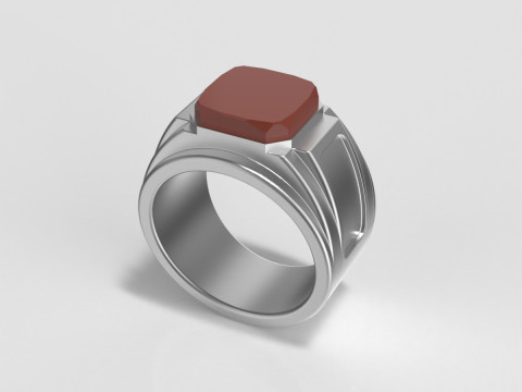 Ring 3D 프린트 모델