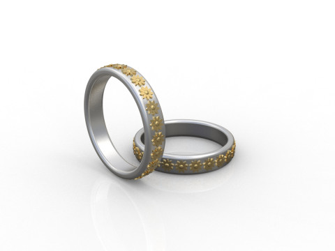 Ring Modello di stampa 3D