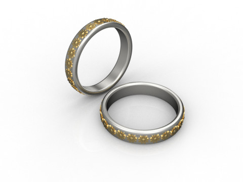 Ring Modello di stampa 3D