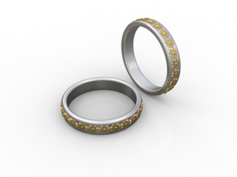 Ring Modello di stampa 3D