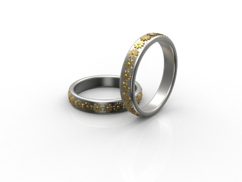 Ring Modello di stampa 3D