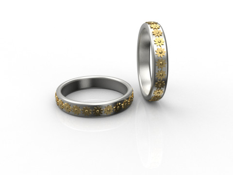 Ring Modello di stampa 3D
