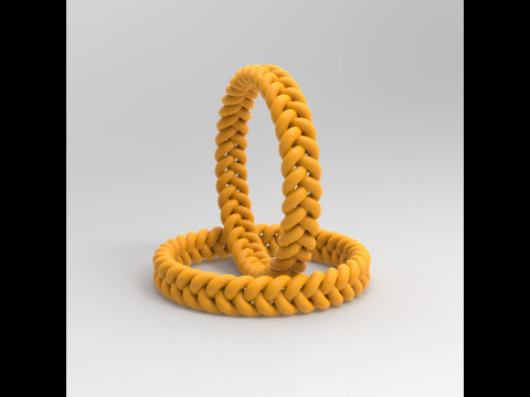 Braided Bracelet 3D 프린트 모델