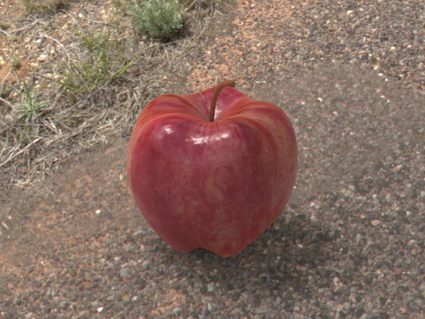 Apple 3D Print Model
