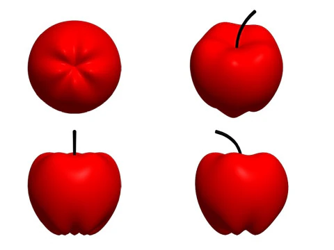 Apple 3D Print Model