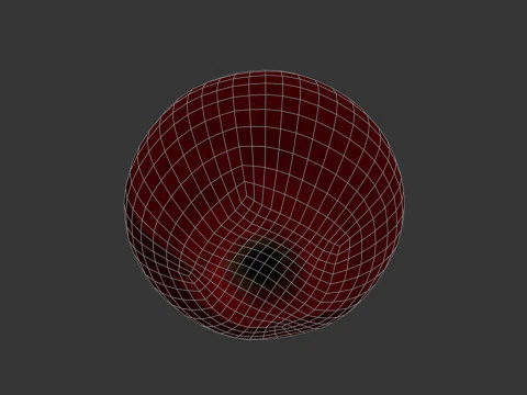 Delicious Apple 3D Model