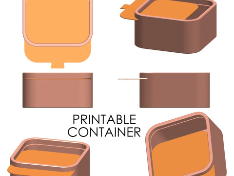 Box mit Schiebedeckel 3D Druckmodell