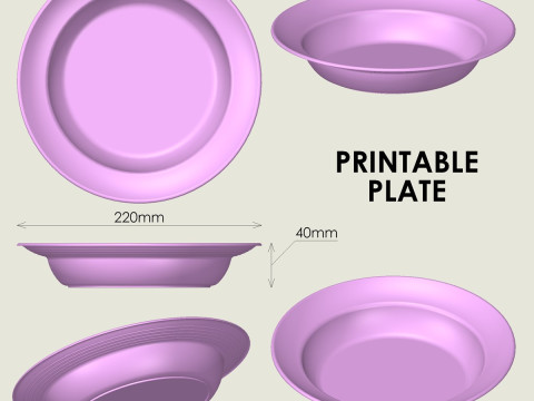 Plate 3D Print Model