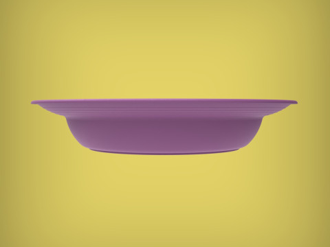 Plate 3D Print Model