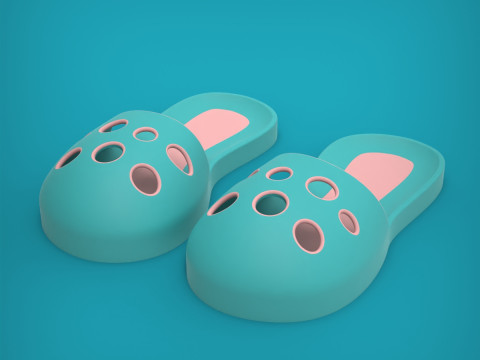 Slippers 3D Print Model