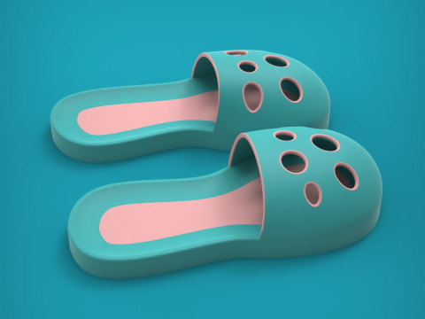 Slippers 3D Print Model