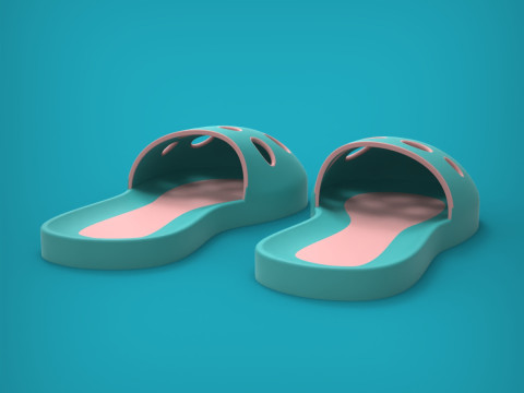 Slippers 3D Print Model