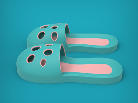 Slippers 3D Print Model