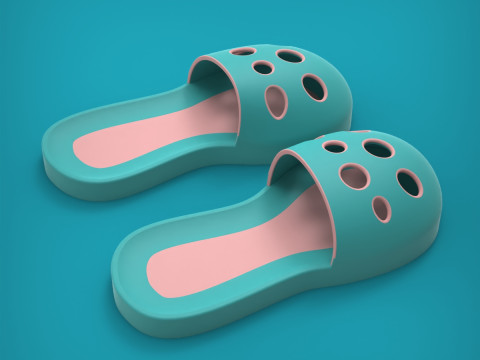 Slippers 3D Print Model