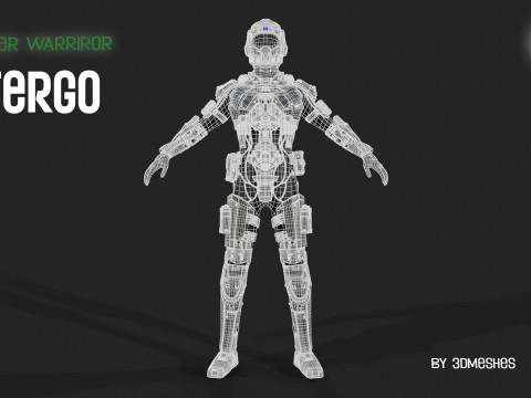 Cyber Warrior - TERGO 3D Model