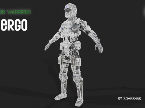 Cyber Warrior - TERGO 3D Model