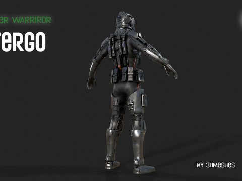 Cyber Warrior - TERGO 3D Model