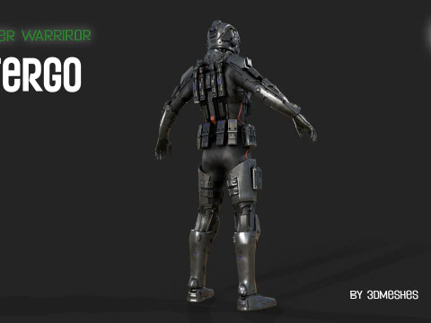 Cyber Warrior - TERGO 3D Model