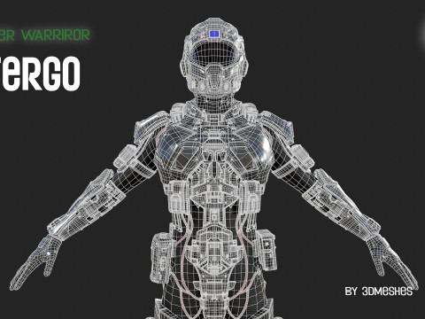 Cyber Warrior - TERGO 3D Model