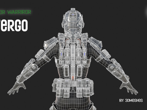 Cyber Warrior - TERGO 3D Model